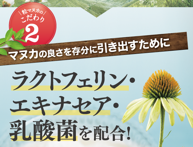 マヌカの良さを存分に引き出すために、ラクトフェリン・エキナセア・乳酸菌を配合！