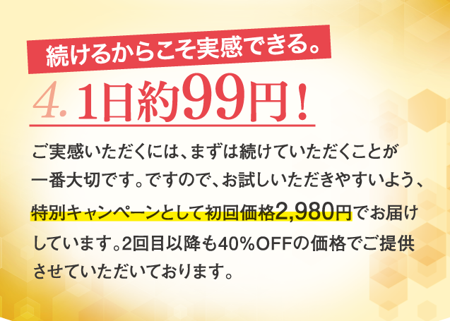 4、1日約99円！