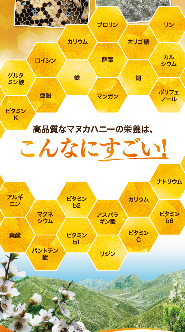 高品質なマヌカハニーには、こんなに沢山の栄養が含まれています。