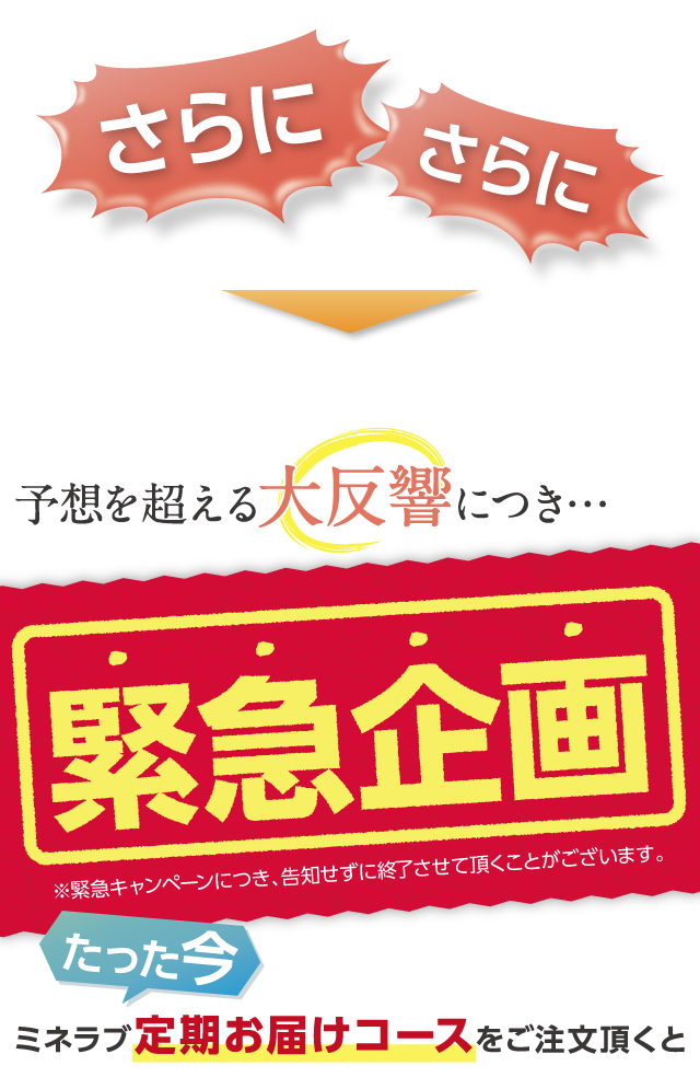 さらにさらに予想を超える大反響につき、緊急企画