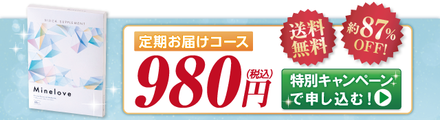 キャンペーン価格で試す