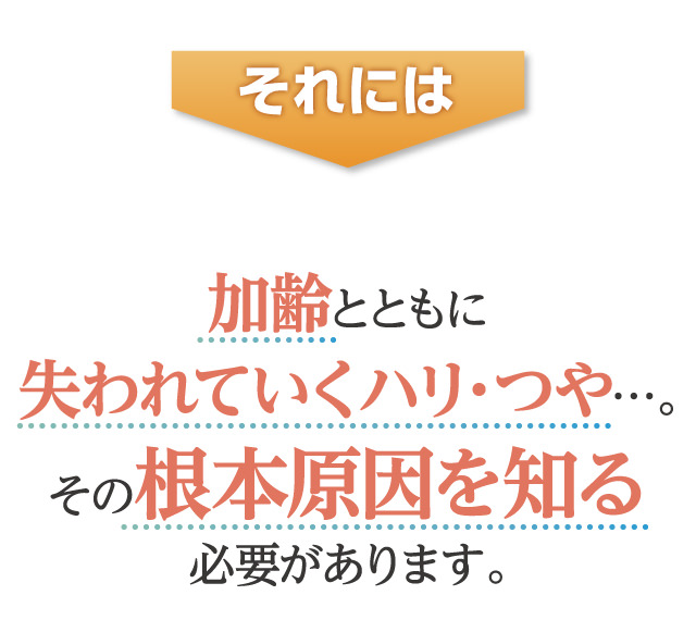 それには加齢とともに失われていくハリ・つや…。その根本原因を知る必要があります。