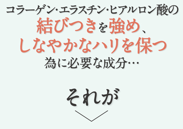 コラーゲン・エラスチン・ヒアルロン酸の結びつきを強め、しなやかなハリを保つ為に必要な成分…それが