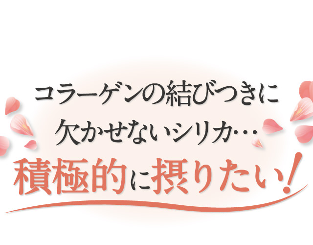 コラーゲンの結びつきに欠かせないシリカ…積極的に摂りたい！