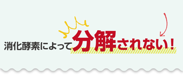 消化酵素によって分解されない！