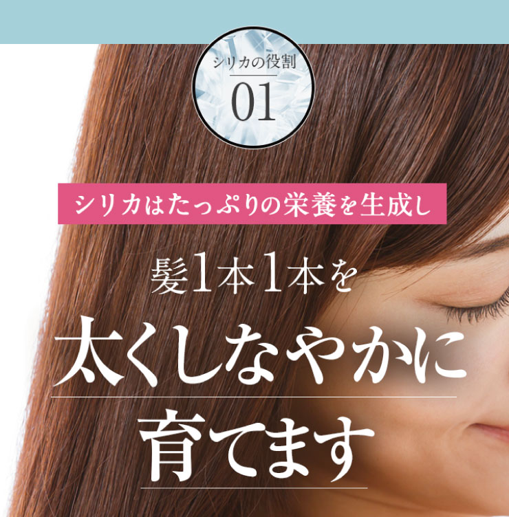 しかも、体内のシリカの量は加齢とともに減少していきます。減少することで、内側からのケアができなくなり目に見えて老化が進んでいくのです。