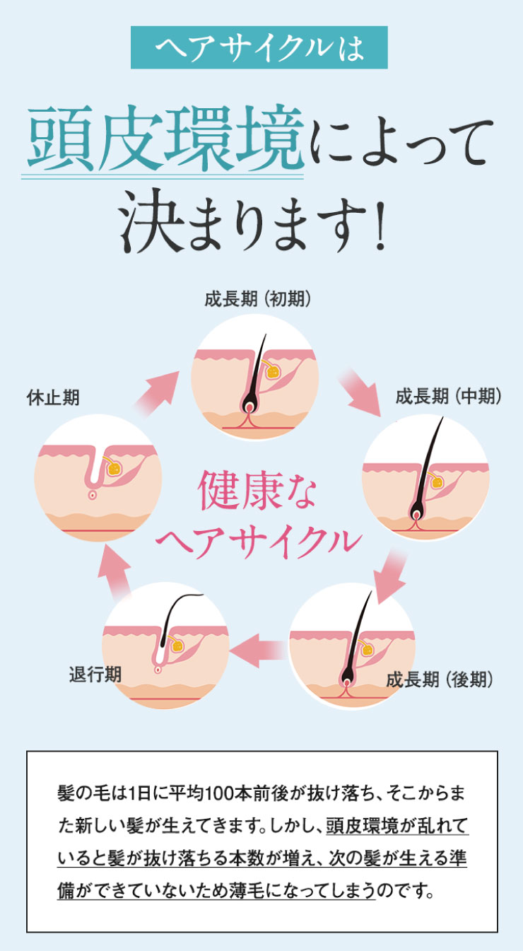 よりご実感いただくために業界最大級のシリカ配合量を実現！1日分に100㎎ものシリカを配合！