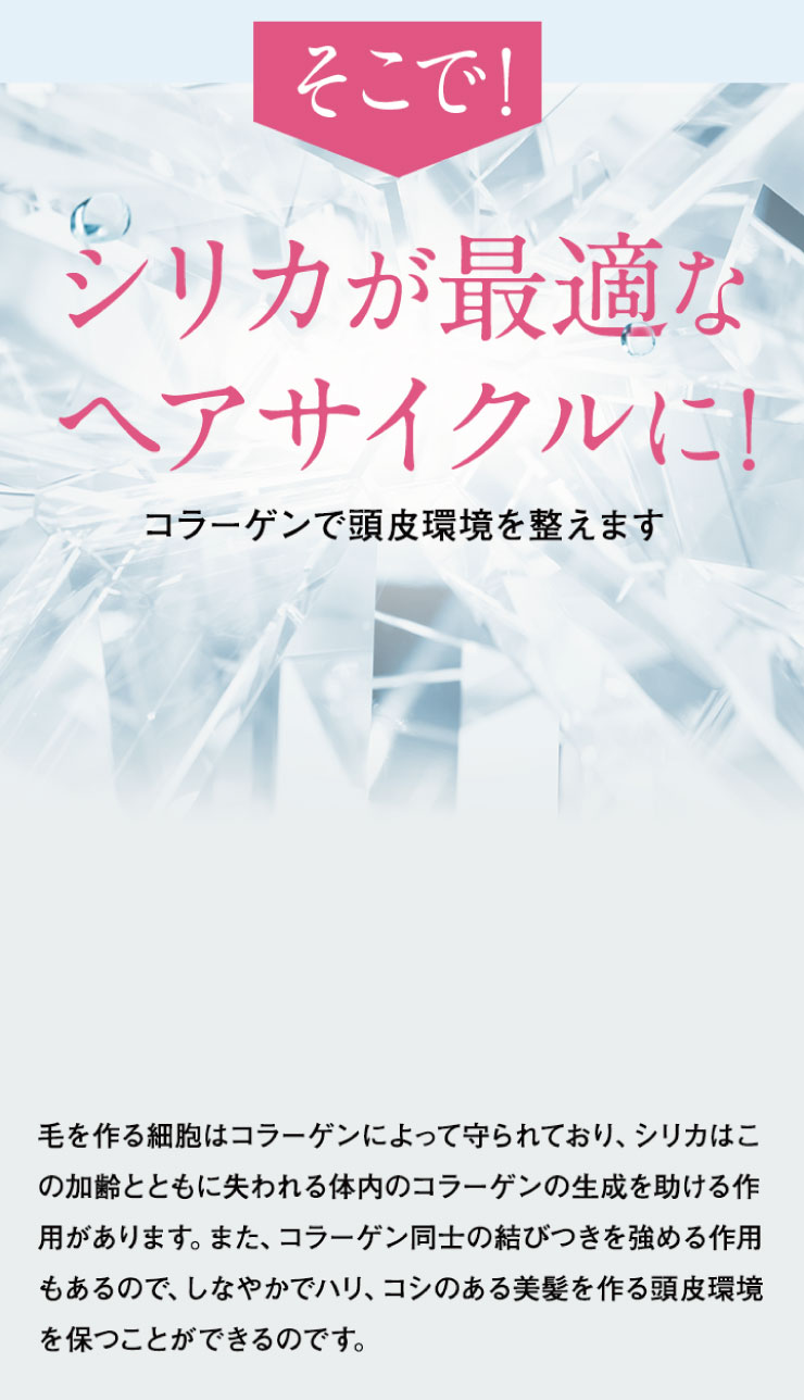 さらに、欲しかった1日分の14種類ものビタミン、ミネラルも贅沢配合いたしました！