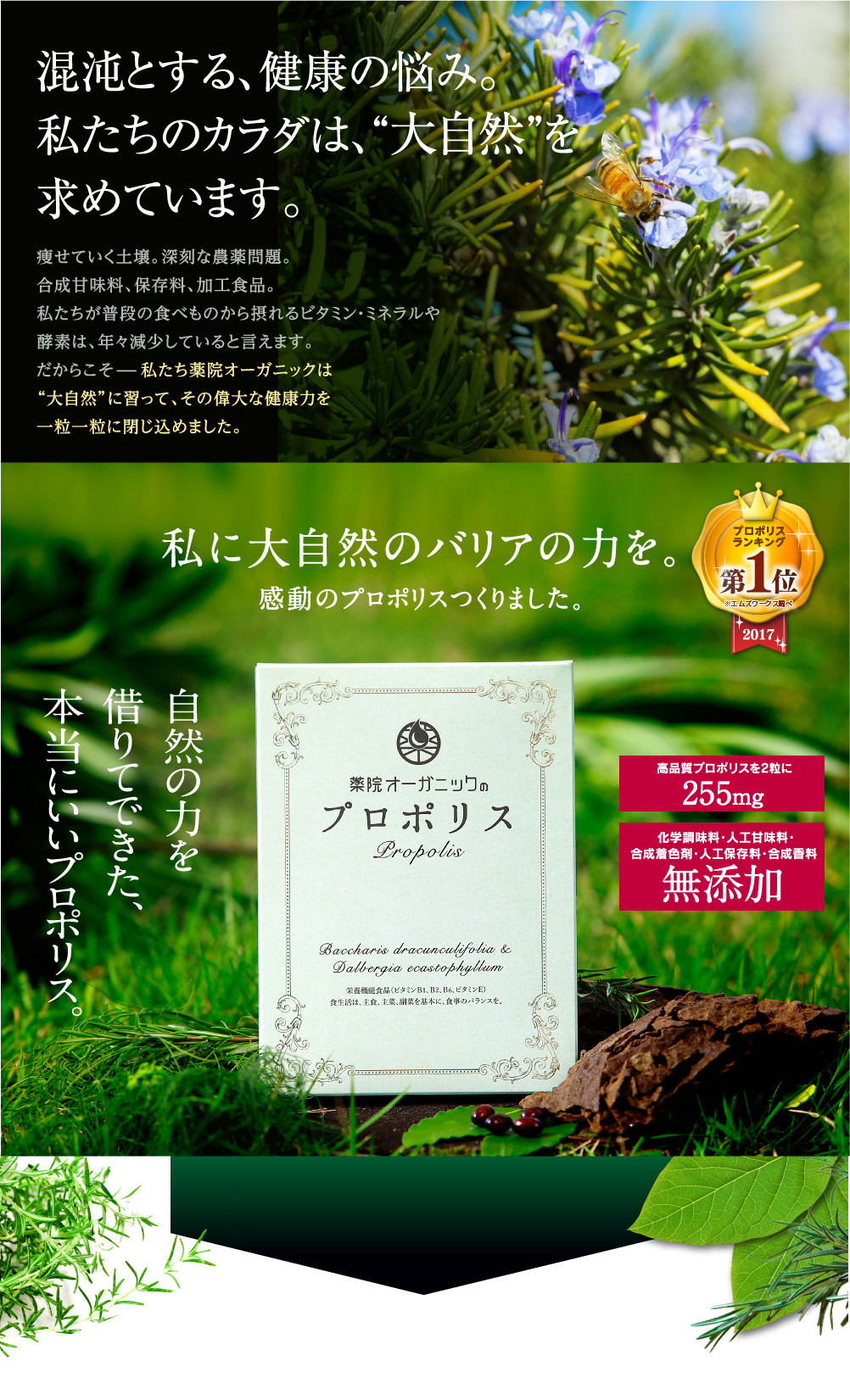 混沌とする、健康の悩み。私たちのカラダは、大自然を求めています。私に大自然のバリアの力を。感動のプロポリスつくりました。