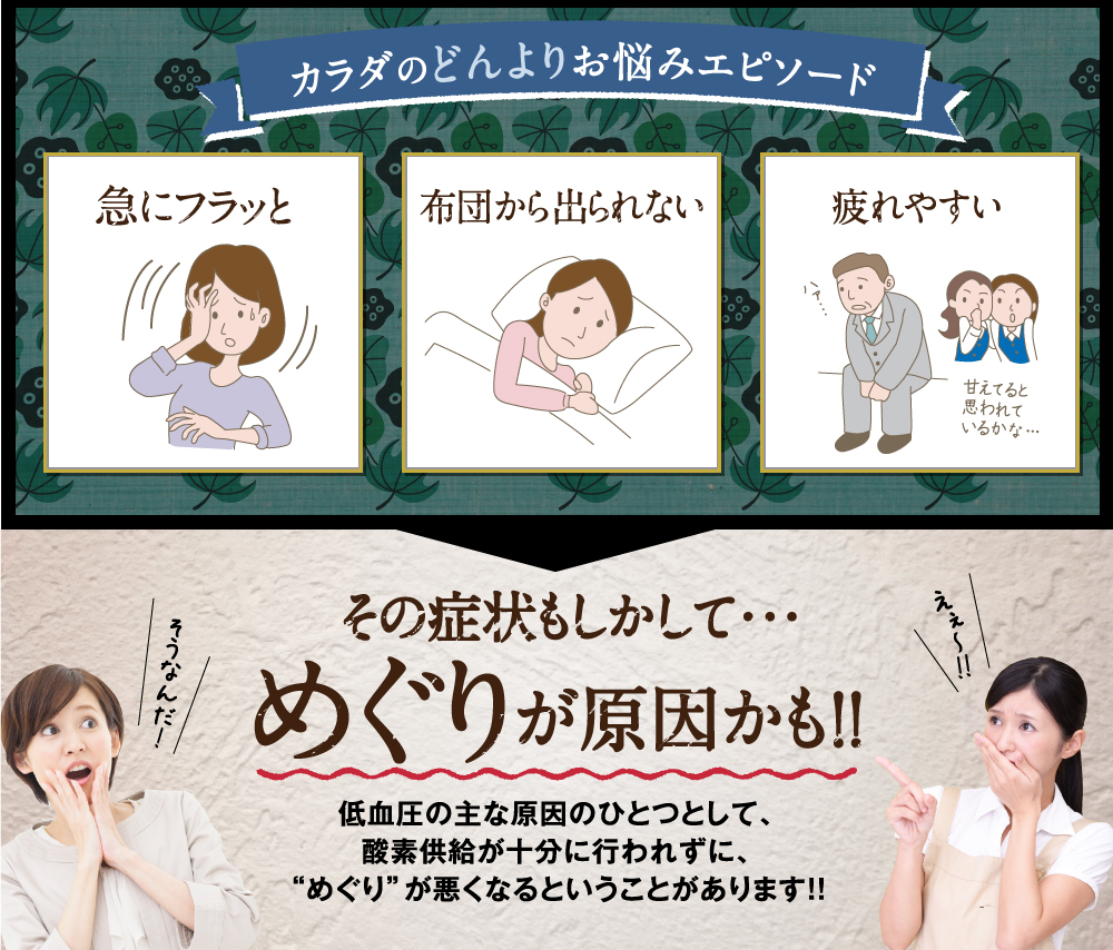 でも本当は…いきいきした毎日を過ごしたい！そんなあなたに、みなぎる自分史上最高の健康力。大自然のバリア成分プロポリス。始めませんか。