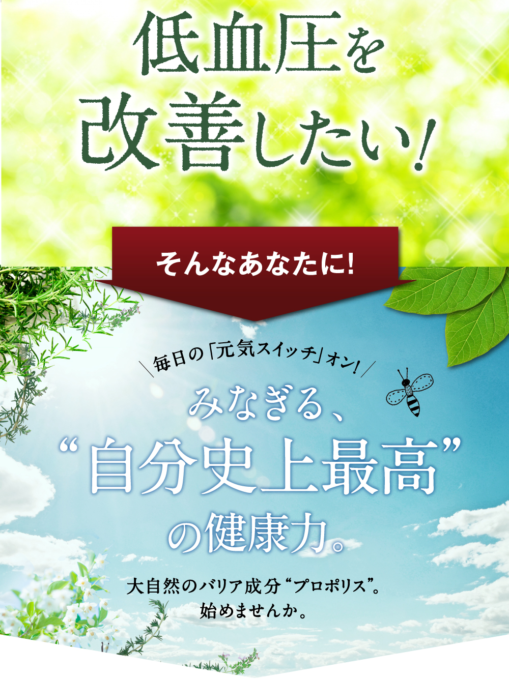 混沌とする、健康の悩み。私たちのカラダは、大自然を求めています。私に大自然のバリアの力を。感動のプロポリスつくりました。