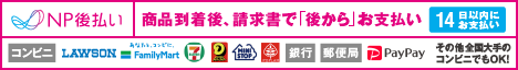 NP後払いwiz